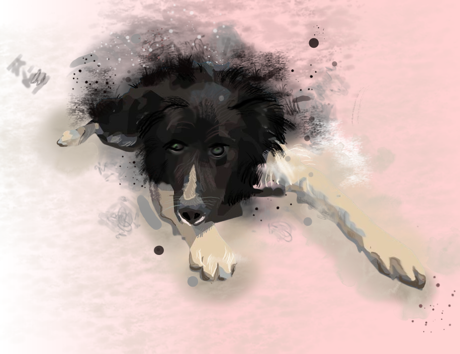 Watercolor illustration 3
