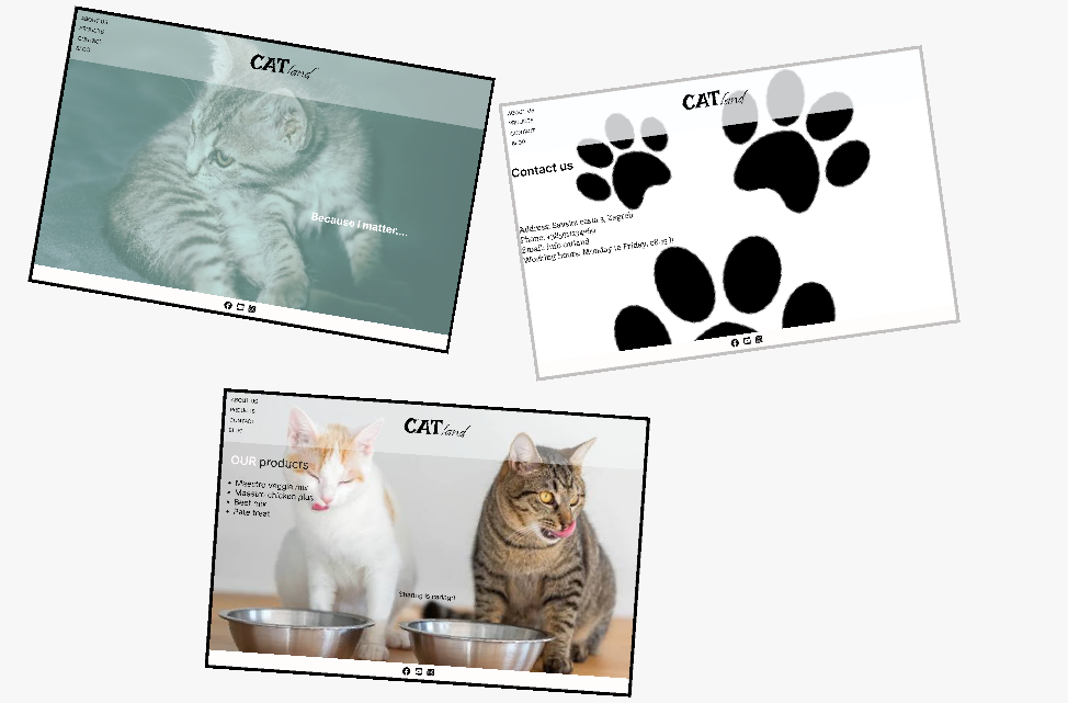 Figma presentation